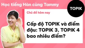 Cấp độ TOPIK và điểm đậu: TOPIK 3, TOPIK 4 bao nhiêu điểm?