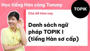 Danh sách ngữ pháp TOPIK I (tiếng Hàn sơ cấp)