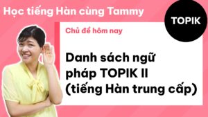 Danh sách ngữ pháp TOPIK II (tiếng Hàn trung cấp)