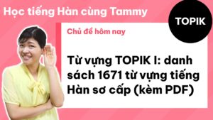 Từ vựng TOPIK I: danh sách 1671 từ vựng tiếng Hàn sơ cấp (kèm PDF)