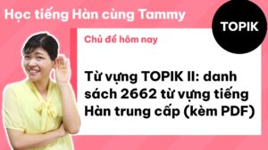 Từ vựng TOPIK II: danh sách 2662 từ vựng tiếng Hàn trung cấp (kèm PDF)