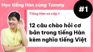 [ Tiếng Hàn sơ cấp 1 ] 12 câu chào hỏi cơ bản trong tiếng Hàn kèm nghĩa tiếng Việt